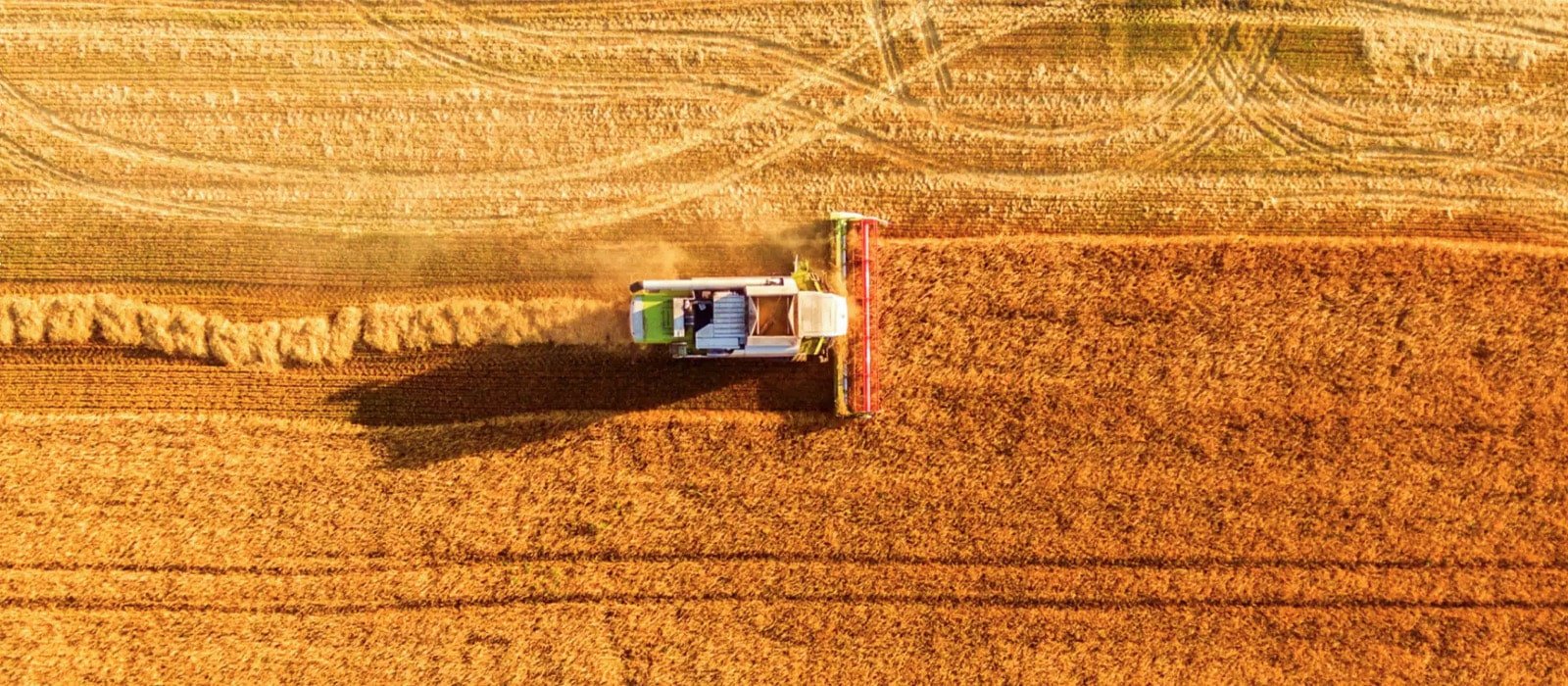 Aerial view of a combine harvester working across a crop field, representing reliable lubrication for agricultural machinery under sustained loads